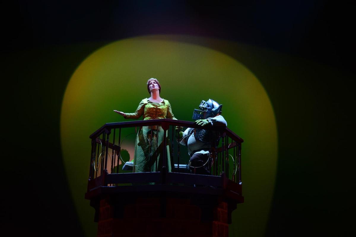 Fiona-Tower-Sir-Shrek